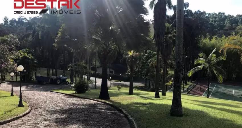 Comercial - Champirra