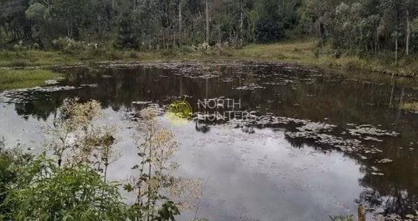 Chácara com 3 dormitórios à venda, 57.429 mil m²  - Centro - Campo Alegre/SC
