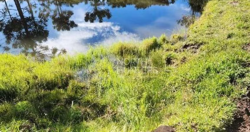 Chácara com 3 dormitórios à venda, 240 m²  - Ideal para condomínio de chácaras -  Centro - Campo Al
