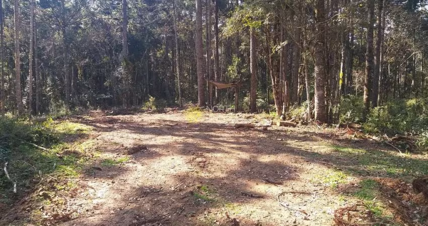 Chácara à venda, 187082 m² -  Avenquinha - Zona Rural - Campo Alegre/SC