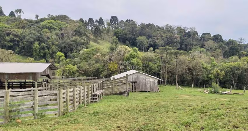Fazenda à venda, 24.840.000 mil m² - Zona Rural - Campo Alegre/SC