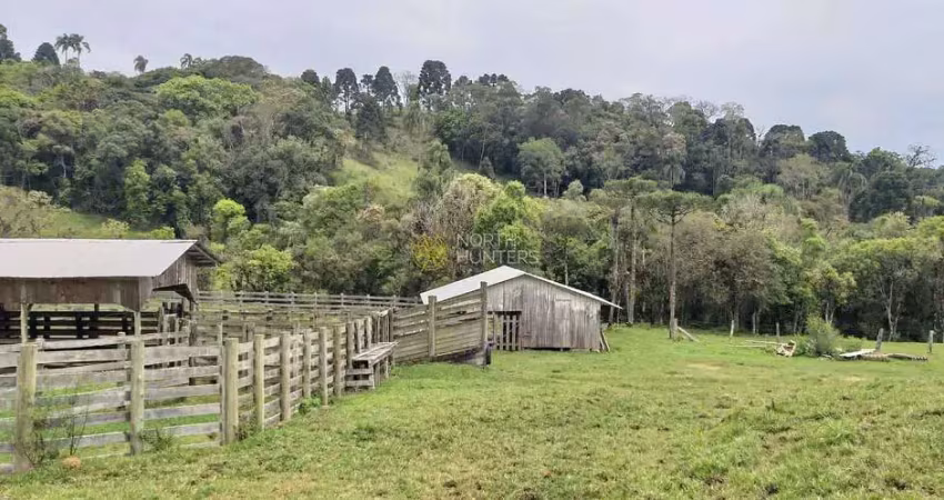 Fazenda à venda, 24.840.000 mil m² - zona rural - campo alegre/sc