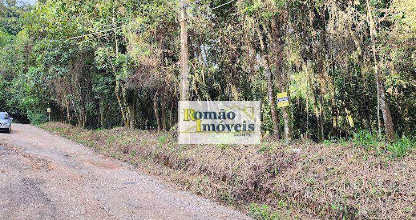 Terreno à venda, 1745 m² por R$ 60.000,00 - Cacéia - Mairiporã/SP