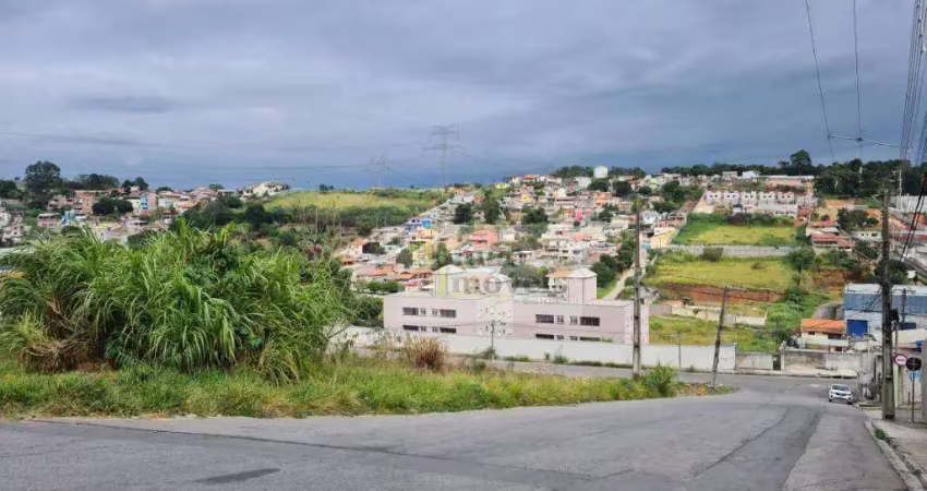 Terreno à venda, 1437 m² por r$ 1.050.000,00 - terra preta - mairiporã/sp