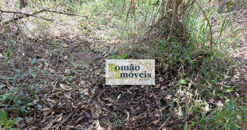 Terreno à venda, 1250 m² por R$ 200.000,00 - Oasis Paulista - Mairiporã/SP
