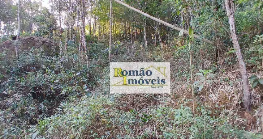 Terreno à venda, 2400 m² por r$ 80.000,00 - mato dentro - mairiporã/sp