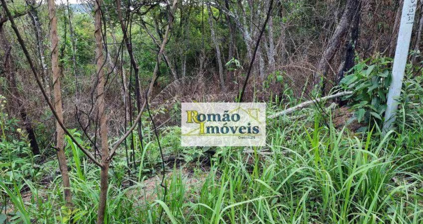 Terreno à venda, 1240 m² por R$ 135.000 - Paineiras de Mairiporã - Mairiporã/SP