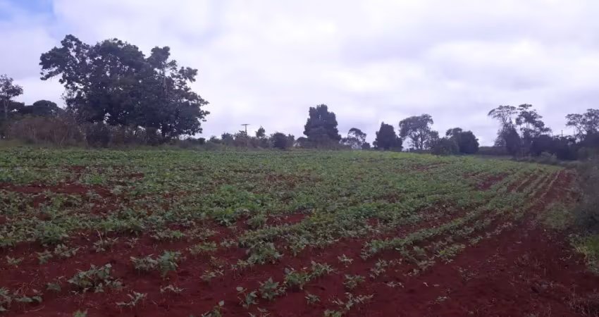 Fazenda à venda na Zona Rural, Bonito 