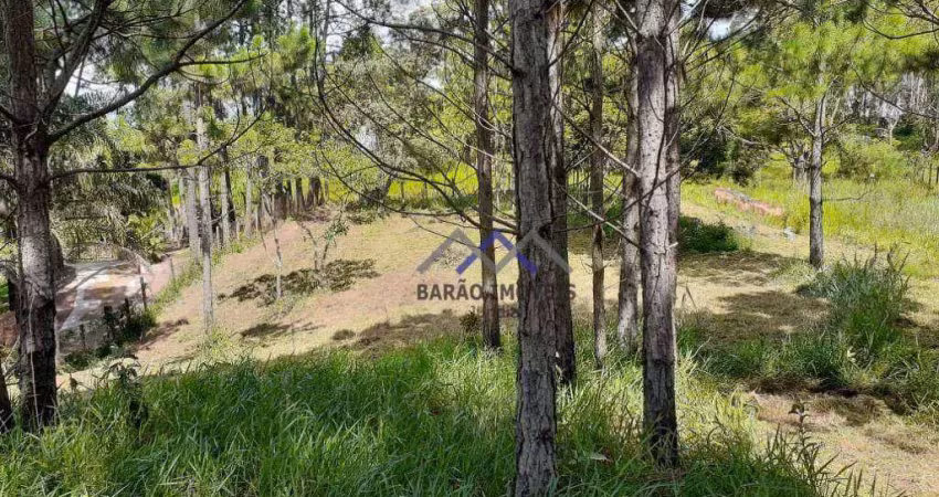 Terreno à venda, 3200 m² por r$ 660.000,00 - parque espelho  d água - jundiaí/sp