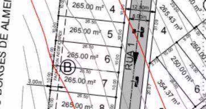 Terreno à venda, 265 m² por R$ 233.200,00 - Villa Florence - Elias Fausto/SP