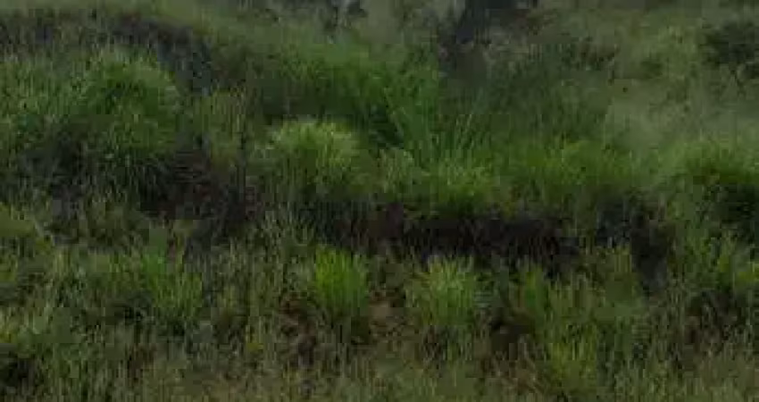 Terreno à venda no São Damião, Vespasiano 