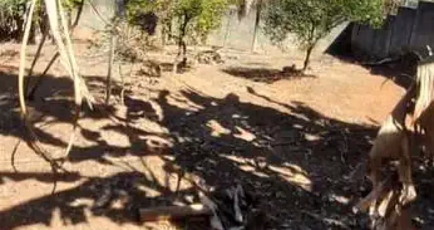 Terreno à venda em Braúnas, Belo Horizonte 