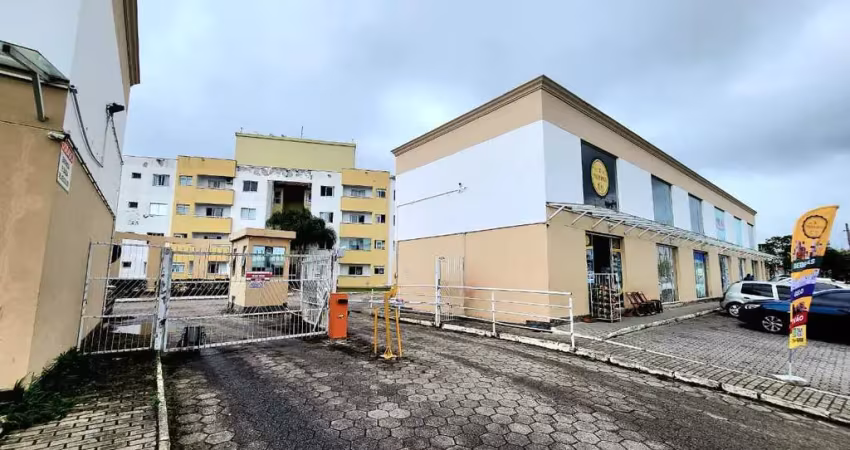 Apartamento com 2 quartos para alugar na Rua Raul Antônio da Silva, Aririú da Formiga, Palhoça