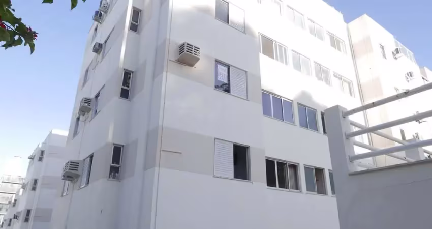 Apartamento com 2 quartos para alugar na Rua Capitão Romualdo de Barros, Carvoeira, Florianópolis