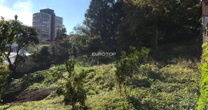 Amplo terreno situado no borgo junto a rua são paulo!