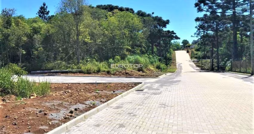 Excelentes terrenos no Santo Antão!