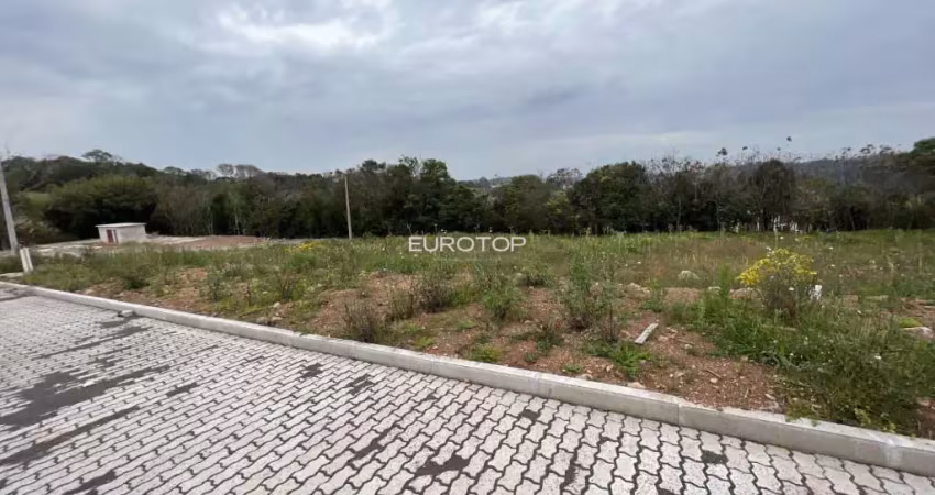 Terreno à venda na Rua José Benedetti, Lote 25, Salgado, Bento Gonçalves