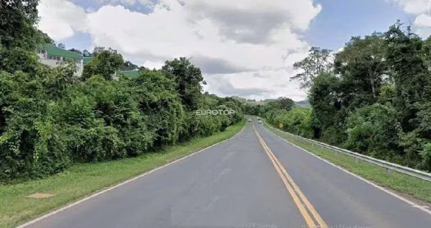 Oportunidade! área de terras com frente para a br 470!