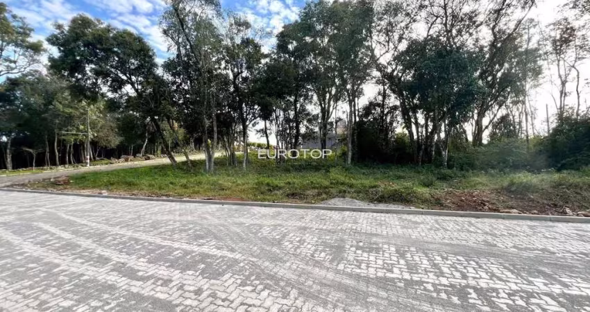 Terreno à venda na Rua Aurino Argemiro Zandonai, 200, Santa Marta, Bento Gonçalves