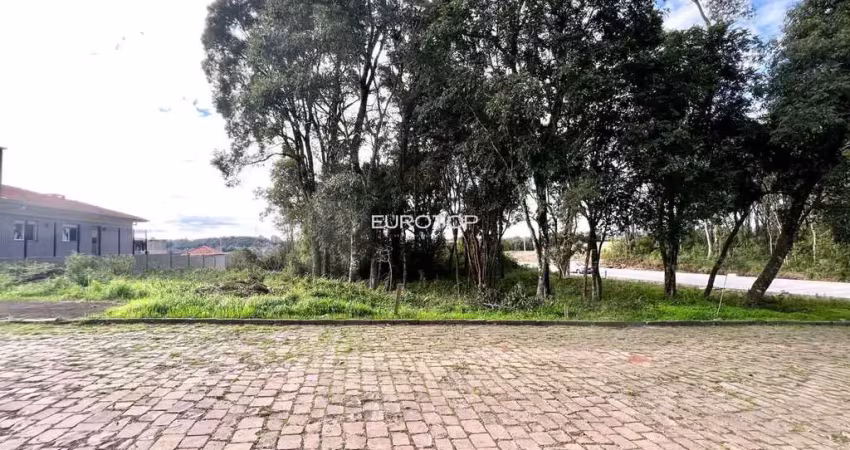 Amplo terreno plano, com 2 frentes, situado em local alto!