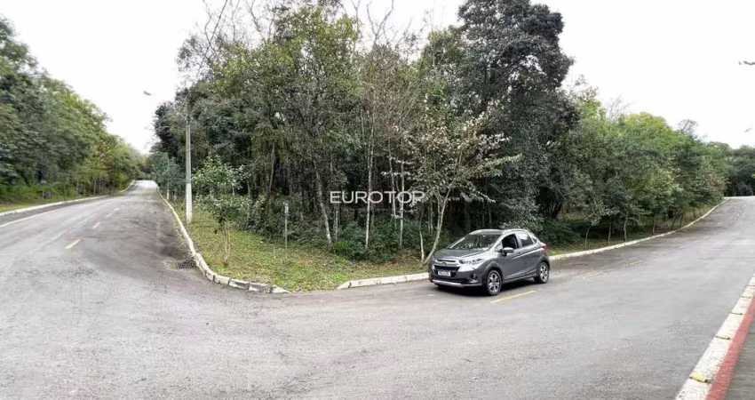 Espetacular terreno de esquina com área de 2.000m²! oportunidade!