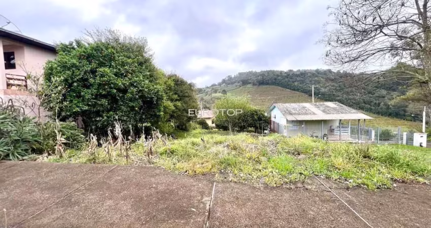 Terreno à venda na Rua Nilo Jacintho Carraro, 116, Vinhedos, Bento Gonçalves