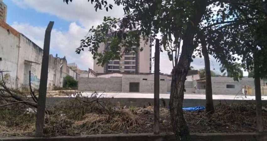 Terreno para aluguel, Silveira - Santo André/SP