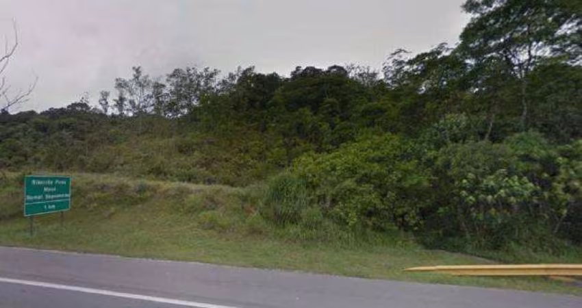 Terreno à venda, Parque do Governador - Ribeirão Pires/SP