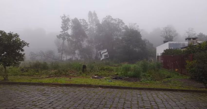 Terreno à venda no Desvio Rizzo, Caxias do Sul 