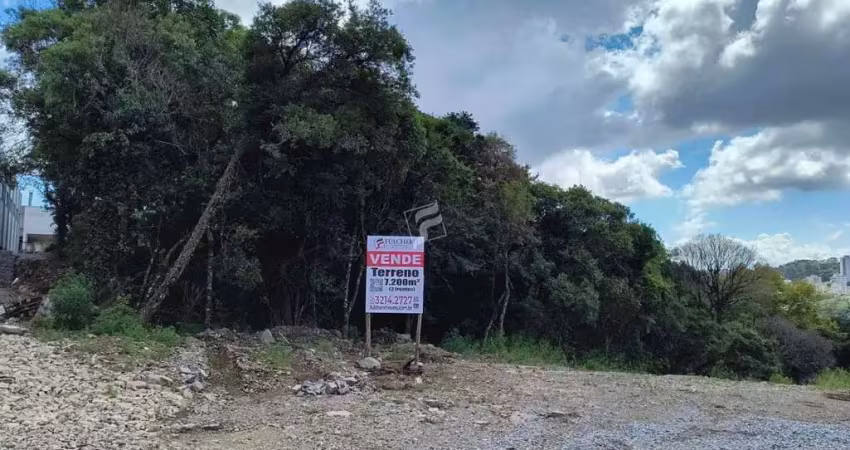 Terreno comercial no bairro salgado filho - caxias do sul