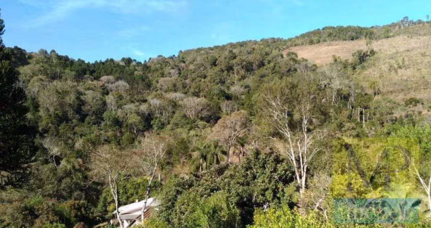 Fazenda à venda, 193600 m² por r$ 1.100.000,00 - zona rural - cruz machado/pr