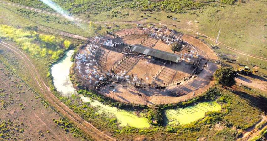 FAZENDA NA REGIÃO DO RIO CUIABÁ RICA EM ÁGUAS