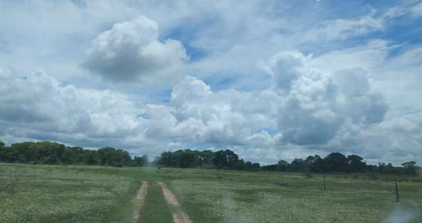 FAZENDA DE 2.226 HECTARES EM AQUIDAUANA MS