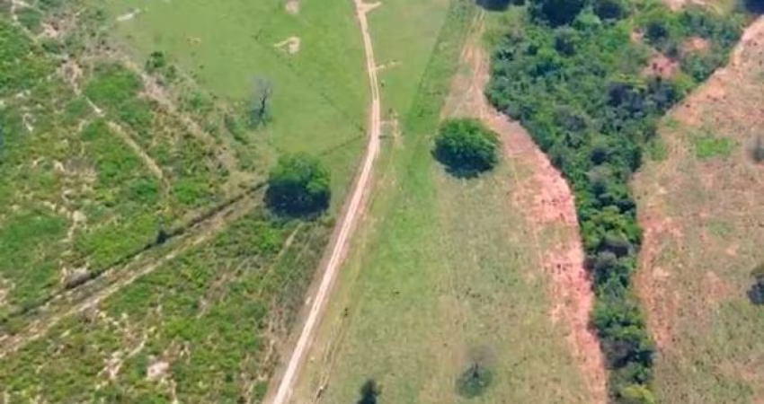 Fazenda rica de agua em Ribas do rio pardo
