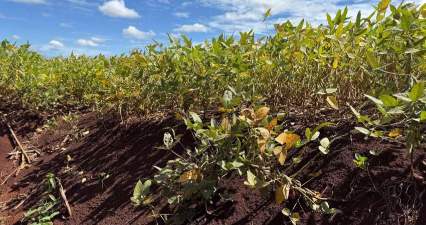 Fazenda à venda na zona rural, 222, Zona Rural, Sidrolândia