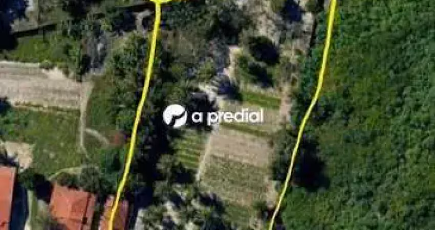 Terreno ha 700 metros da av. odilon guimaraes, escriturado, com poco (agua mineral), murado, com fruteiras, ideal para construcao de cond.