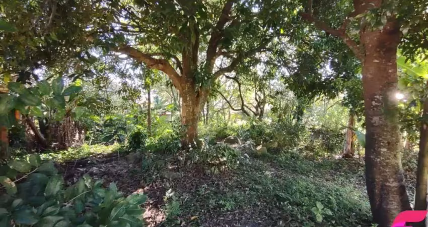 Terreno à venda, 799 m² - rio tavares - florianópolis/sc