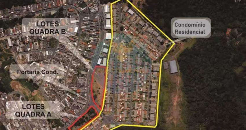 Loteamento comercial, Lotes Comerciais