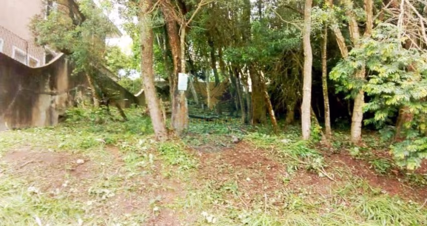 Terreno em condomínio fechado à venda na Rua das Dracenas, s/n, Granja Viana, Carapicuíba