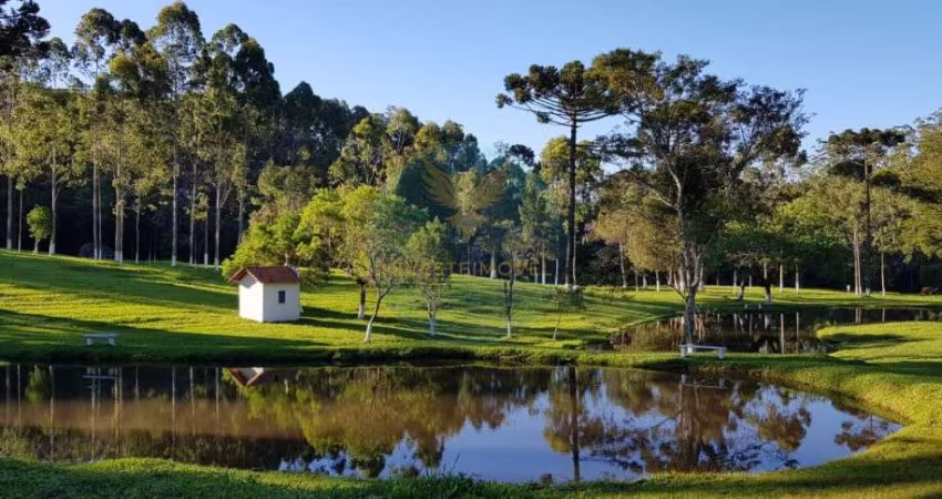 Terreno à venda na Estrada dos Rodrigues, s/n, Carmo Messias, Ibiúna