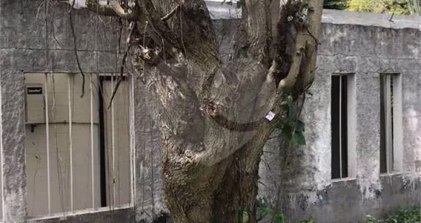 Terreno à venda na Avenida Giovanni Gronchi, Jardim Sul, São Paulo