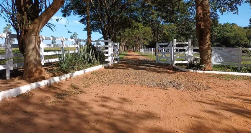 Fazenda em produção à venda, Avaré SP