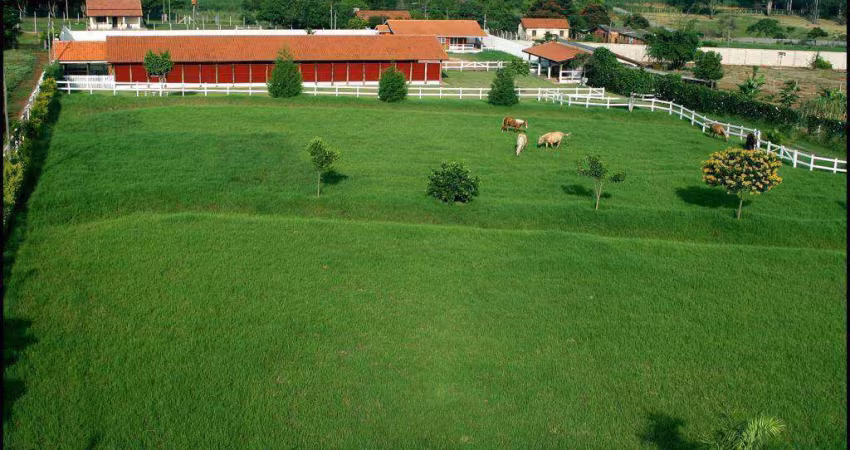 Chácara à venda, Barão Geraldo, Campinas, SP