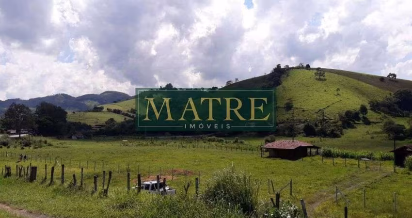 Área Industrial ou Comercial em Cambuí
