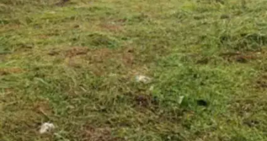 Terreno a venda em cajamar - ao lado da rodovia anhanguera.