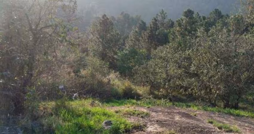 TERRENO A VENDA RESERVA SANTA ANA
