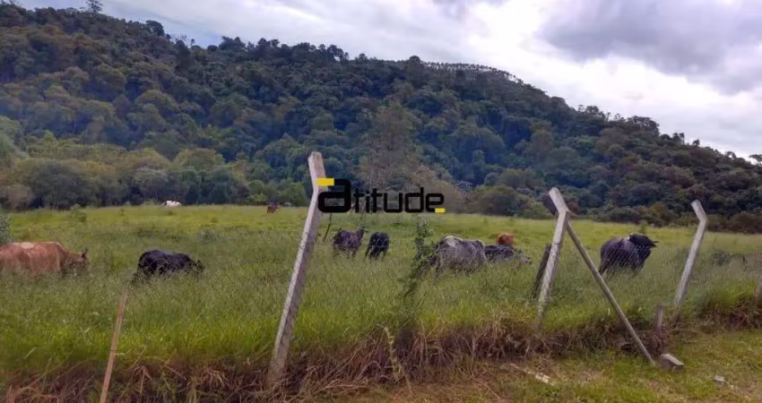 Chácara / sítio com 5 quartos à venda na estrada do paiol, Centro (São João Novo), São Roque