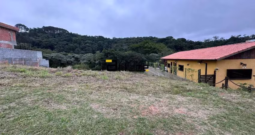 Bella vitta vista verde – terreno com fundo livre e 380m² de oportunidade