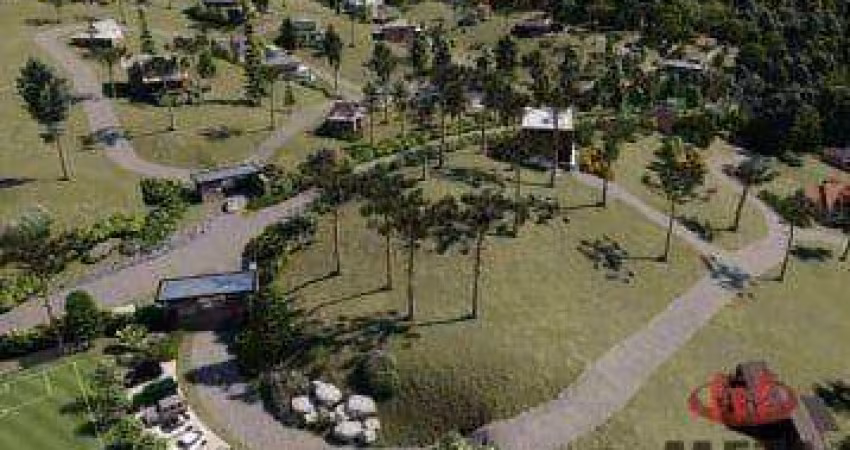 Terreno à venda, 1531 m² por R$ 689.000 - Centro - Campo Alegre/SC