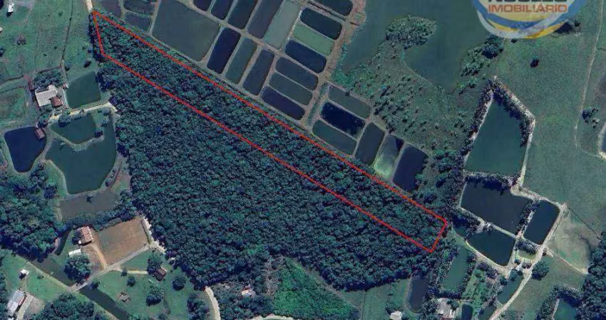 Terreno à venda, 21112 m² por r$ 690.000 - rio bonito (pirabeiraba) - joinville/sc